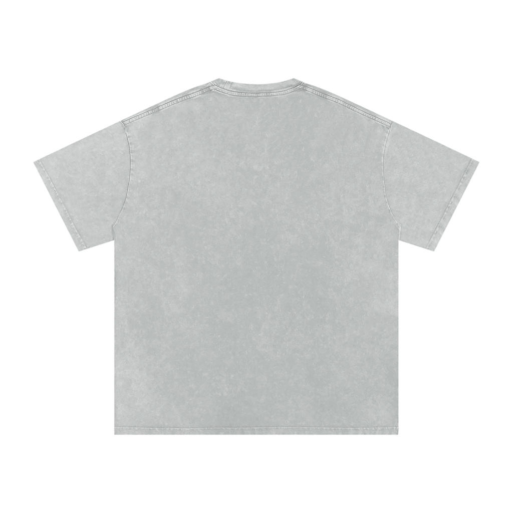 INSUARIA — Snow-Washed Oversized Cotton Tee