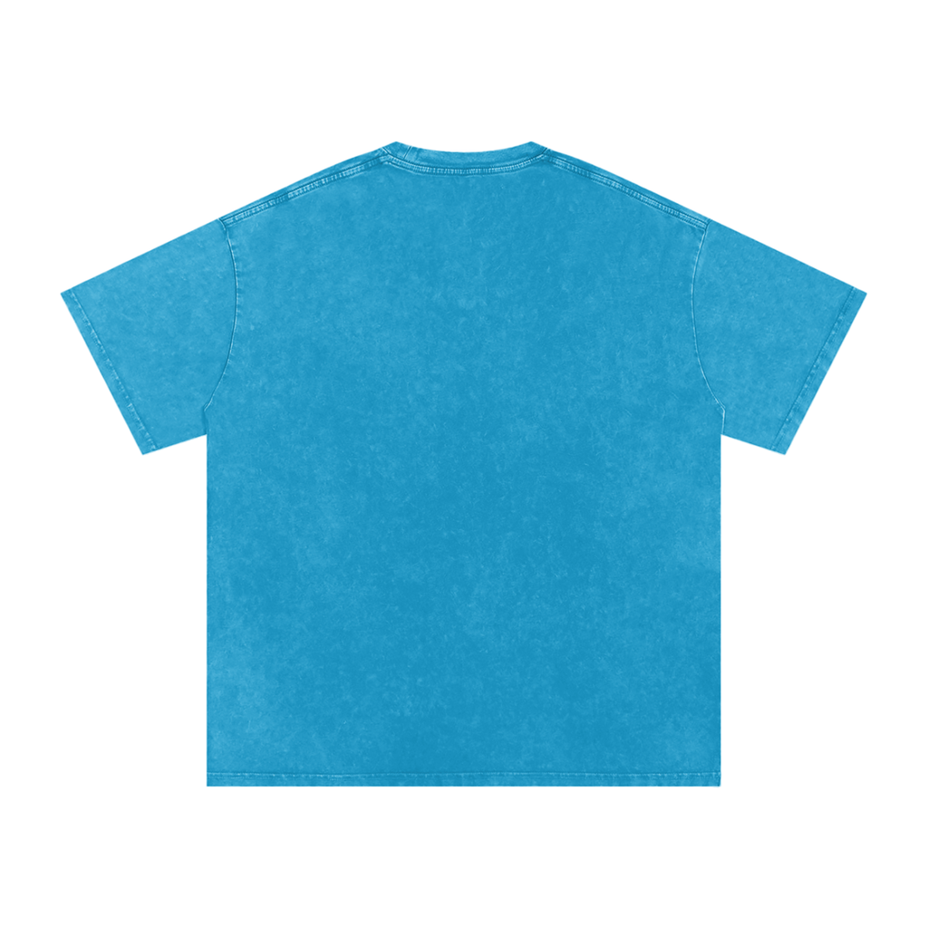 INSUARIA — Snow-Washed Oversized Cotton Tee