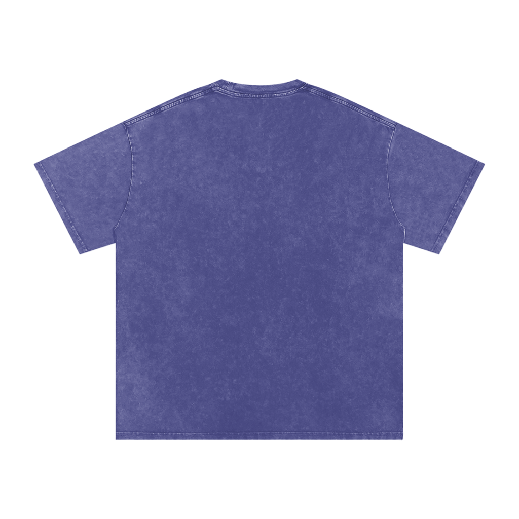 INSUARIA — Snow-Washed Oversized Cotton Tee