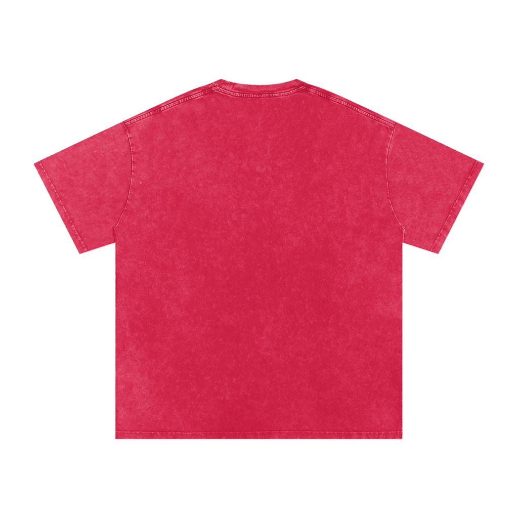 INSUARIA — Snow-Washed Oversized Cotton Tee
