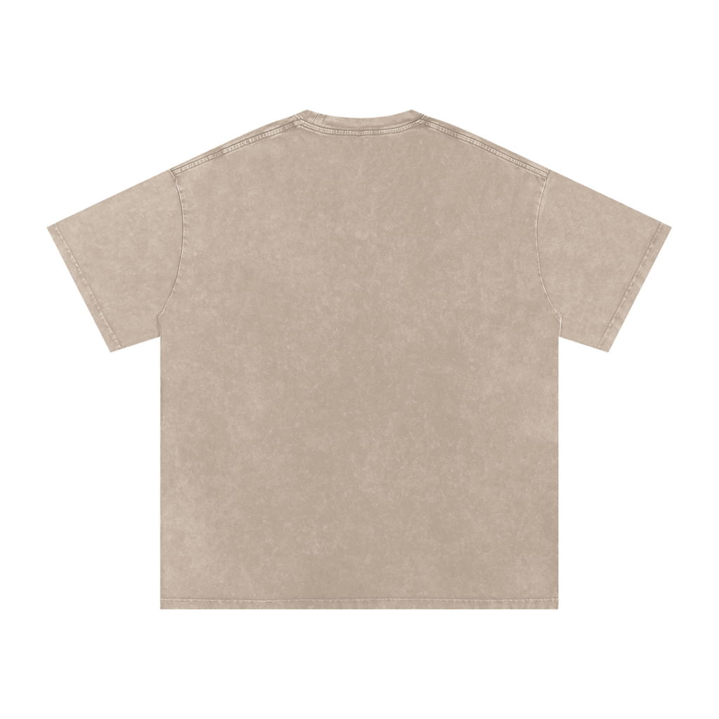 INSUARIA — Snow-Washed Oversized Cotton Tee