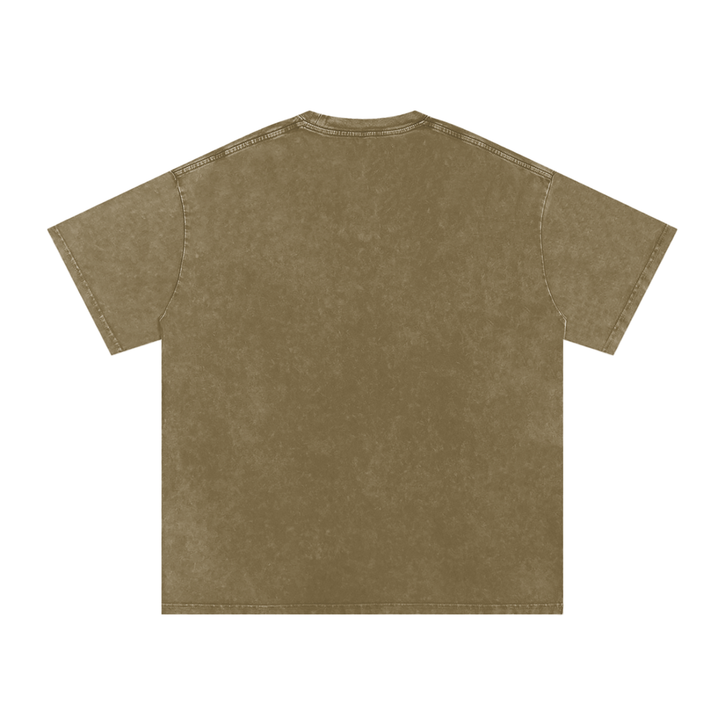 INSUARIA — Snow-Washed Oversized Cotton Tee