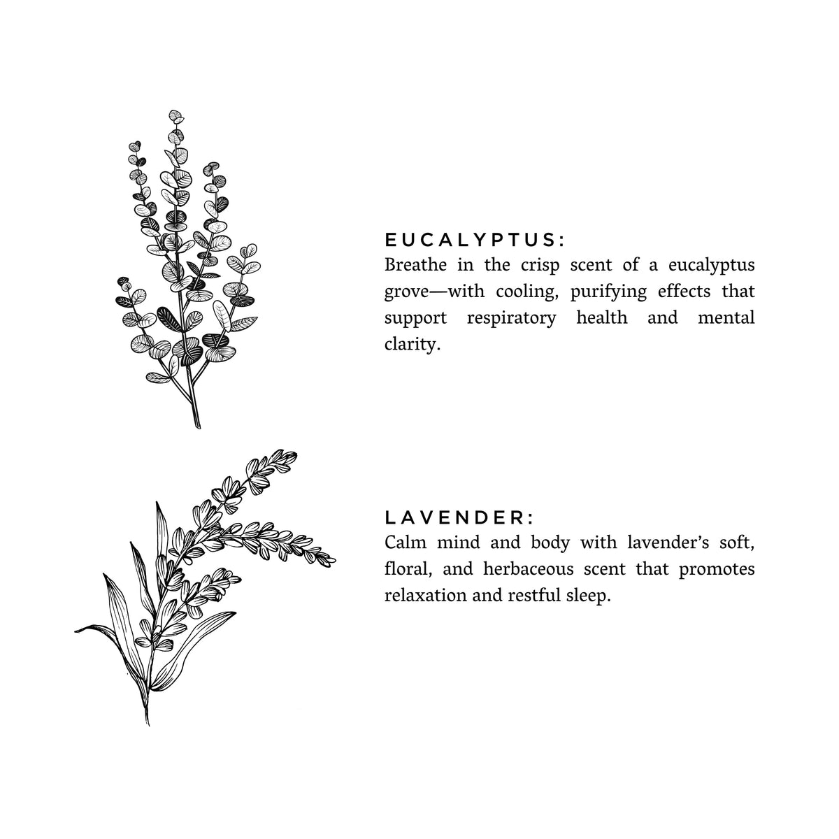 Eucalyptus lavender candle, label detail