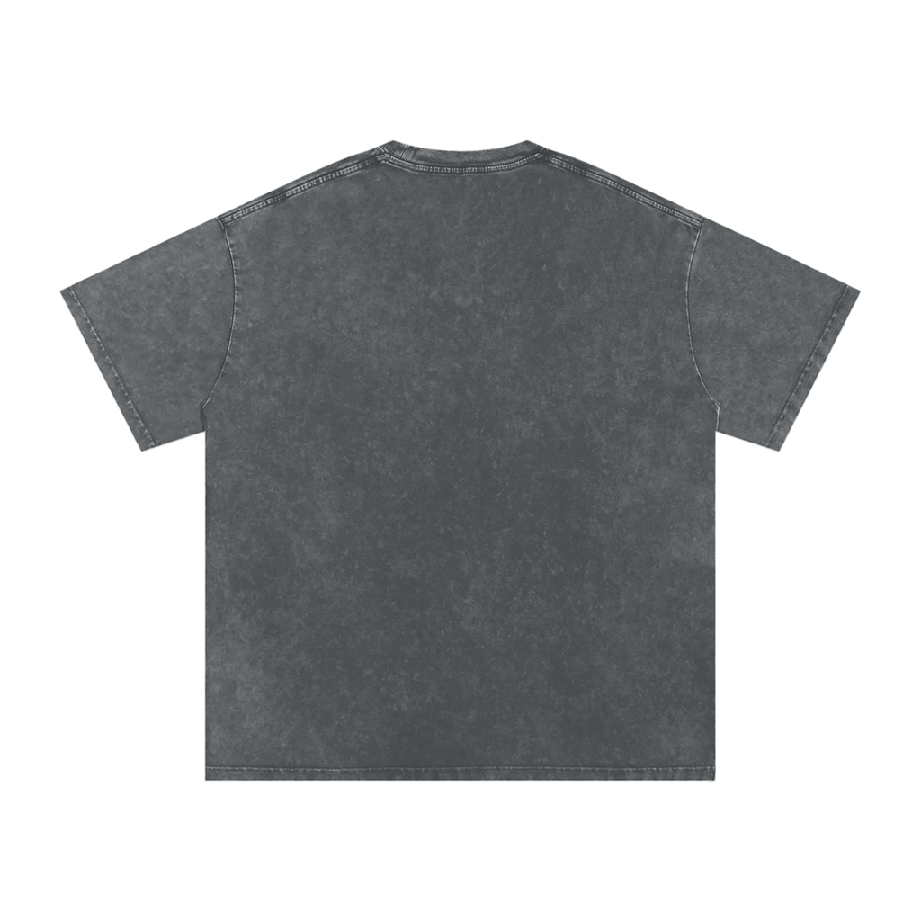 INSUARIA — Snow-Washed Oversized Cotton Tee
