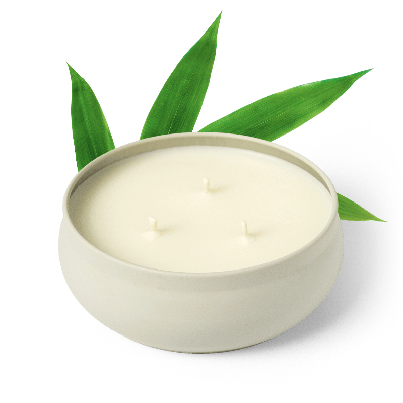 Bamboo scented 3-wick candle in tin
