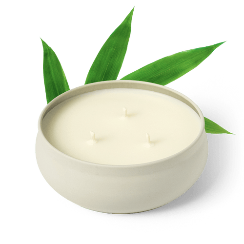 Bamboo scented 3-wick candle in tin