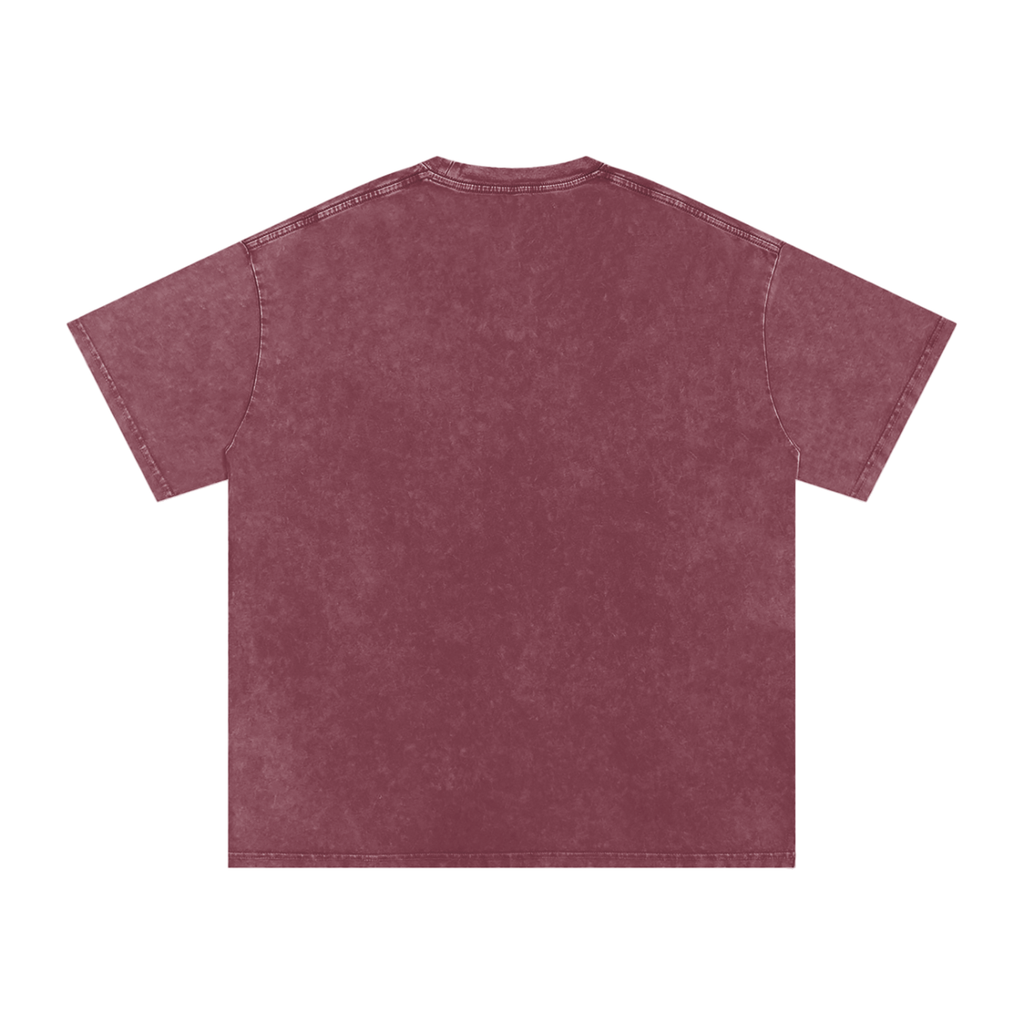 INSUARIA — Snow-Washed Oversized Cotton Tee
